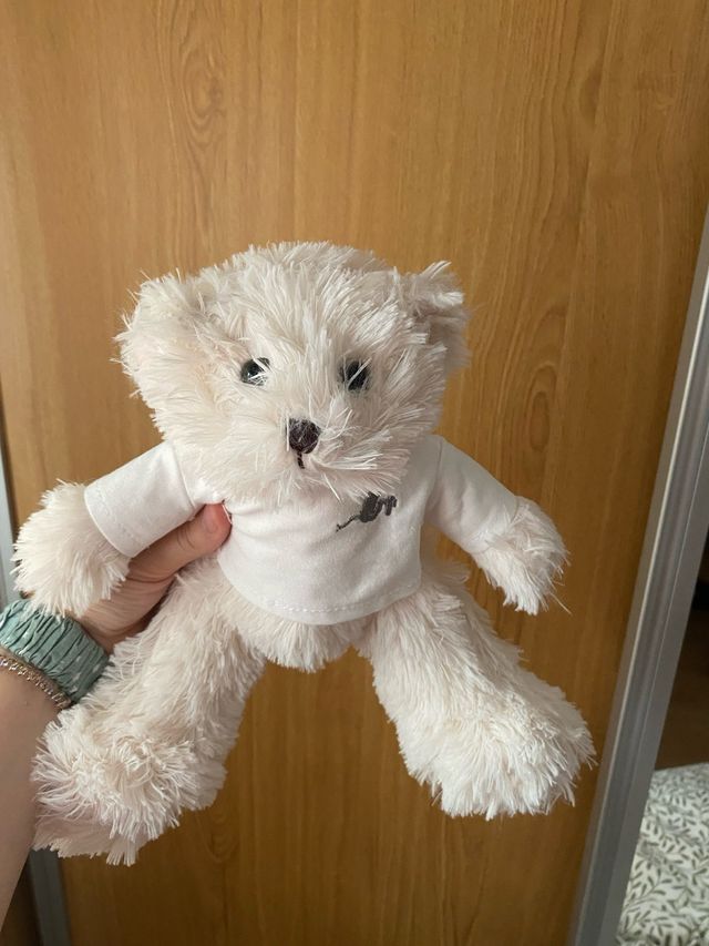 Peluche Osito bebé de parís
