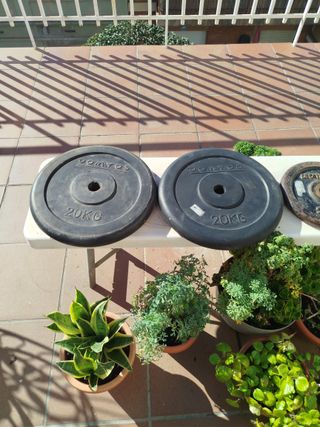 Discos de pesas DOMYOS 20 kg