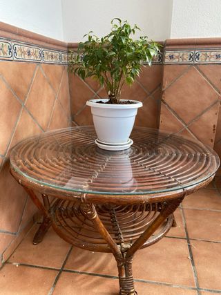Mesa baja redonda de mimbre y cristal