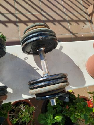 Mancuernas DOMYOS 17 kg (par)