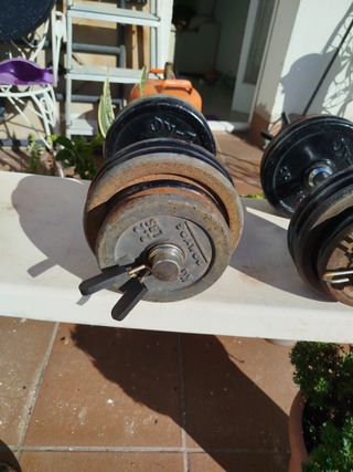 Mancuernas DOMYOS 17 kg (par)