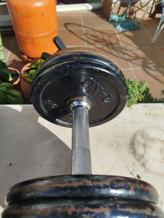 Mancuernas DOMYOS 17 kg (par)