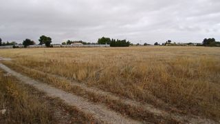 Bancal secano para parcela en  Albacete