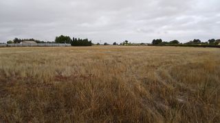 Bancal secano para parcela en  Albacete