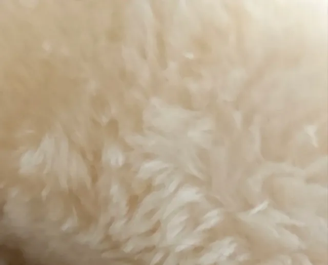 Botas negras calentitas con pelo