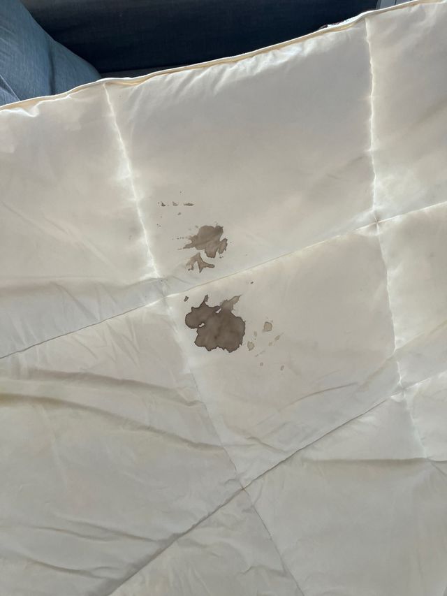 Edredón cama matrimonio plumón pluma blanco