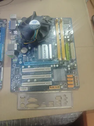 Lote di schede madri Asus e Gigabyte