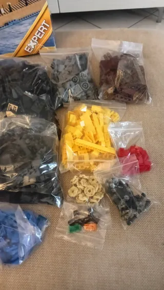 LEGO Creator 10234 Sydney Opera House completo