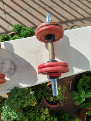 Mancuernas SALTER 8kg (par)