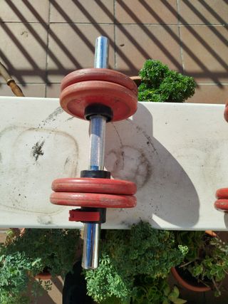 Mancuernas SALTER 8kg (par)