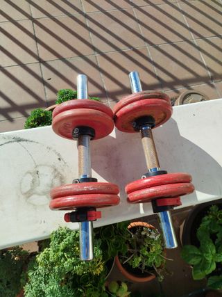 Mancuernas SALTER 8kg (par)