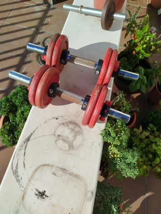 Mancuernas SALTER 8kg (par)