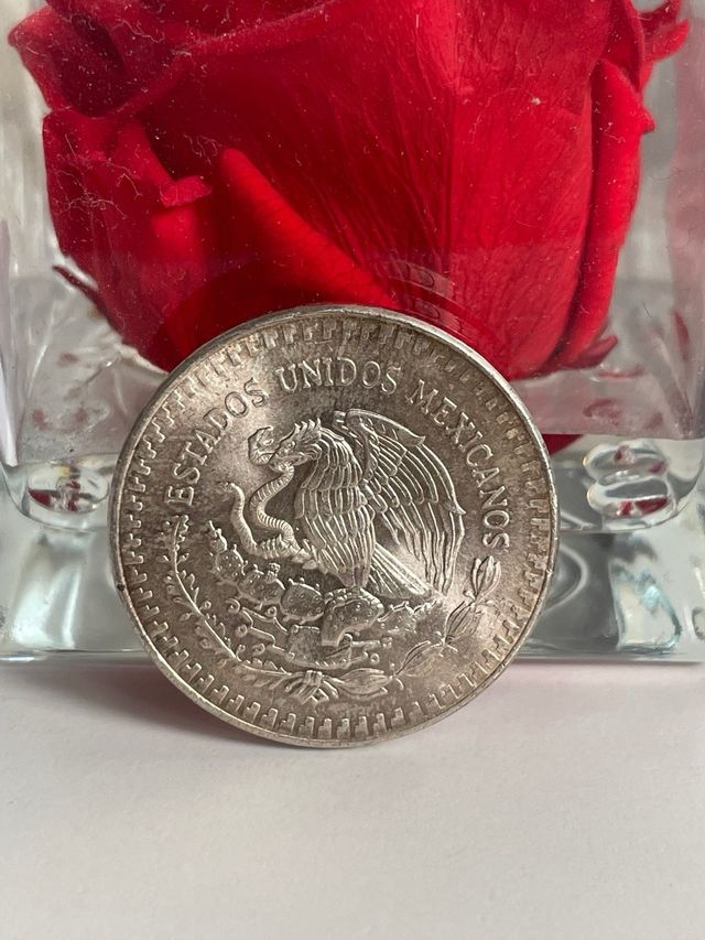 1 Oncia Argento 999 Messico