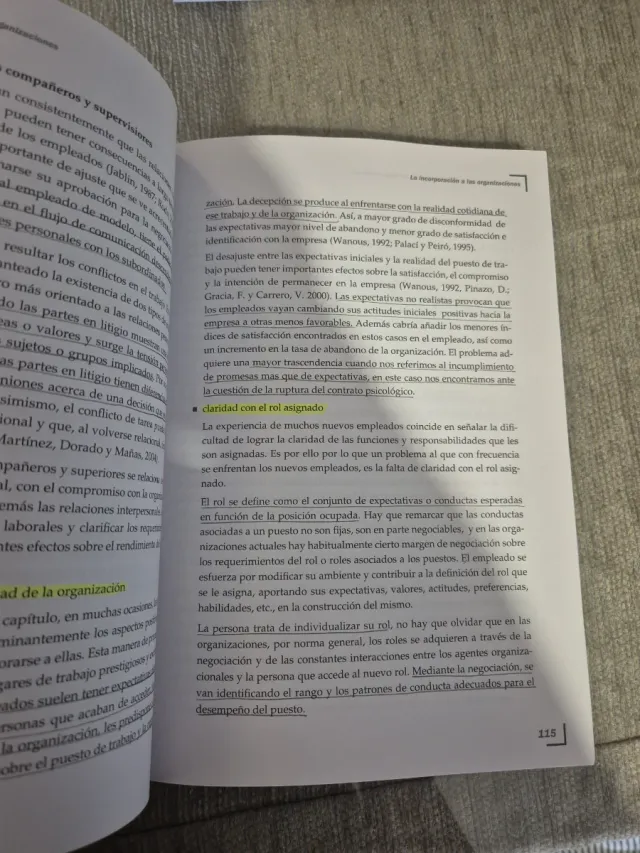 Nuevas Perspectivas en Psicología de las Organi...