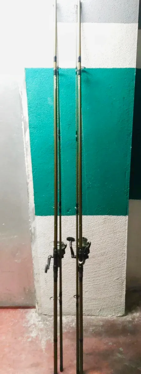 2 Cañas de Pescar con Carretes