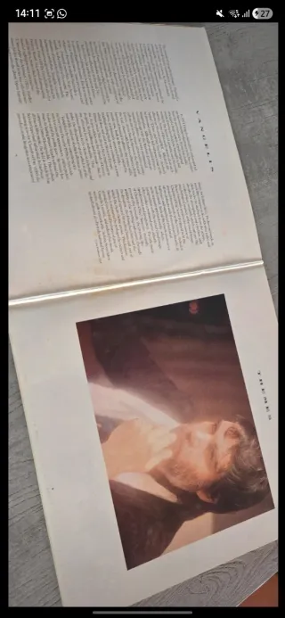 Vangelis Themes vinile