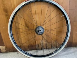 Rodillos Elite + Rueda Carretera