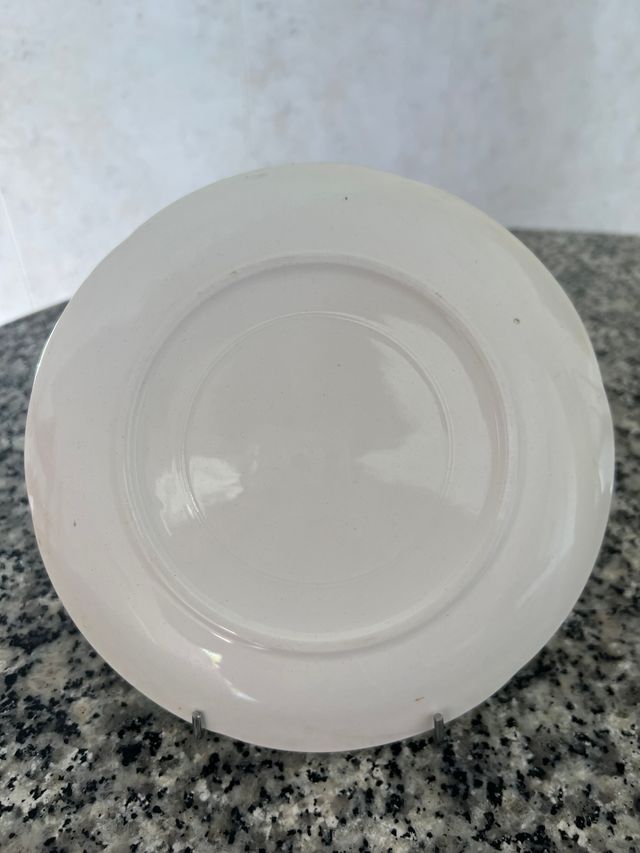 Lotto di 2 piatti in porcellana 20 cm - perfetto stato