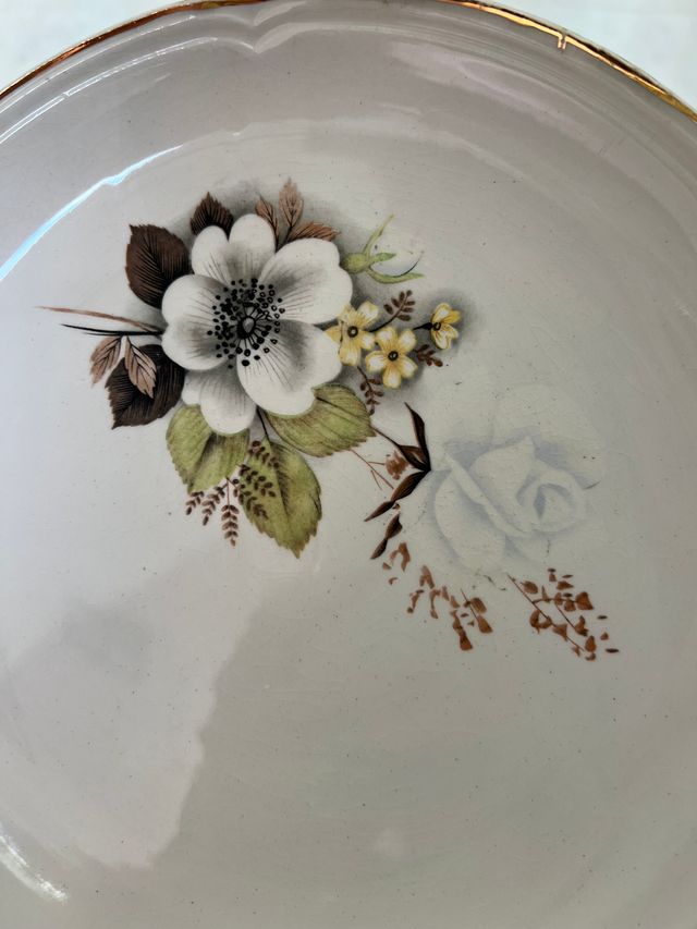 Lotto di 2 piatti in porcellana 20 cm - perfetto stato