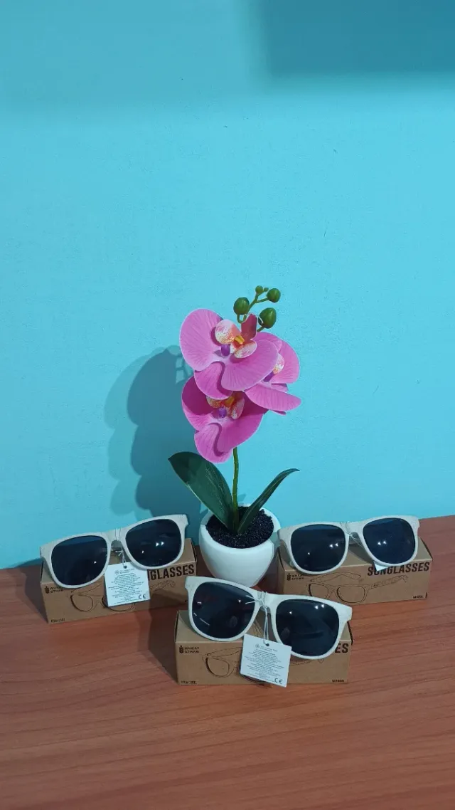 Lote 3 Gafas de Sol color natural