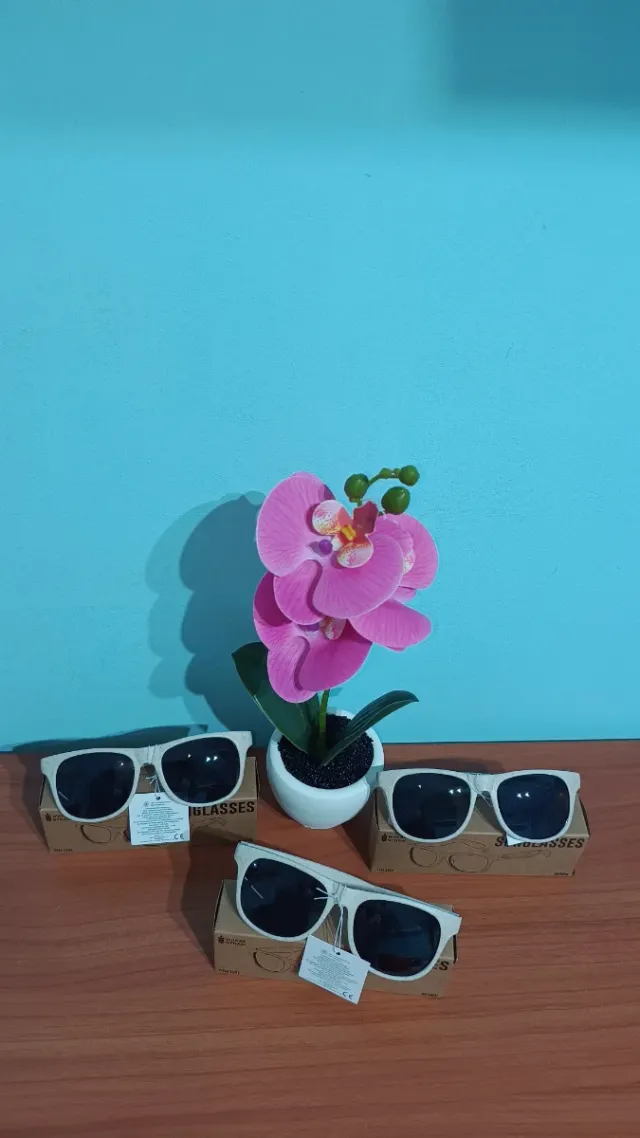 Lote 3 Gafas de Sol color natural