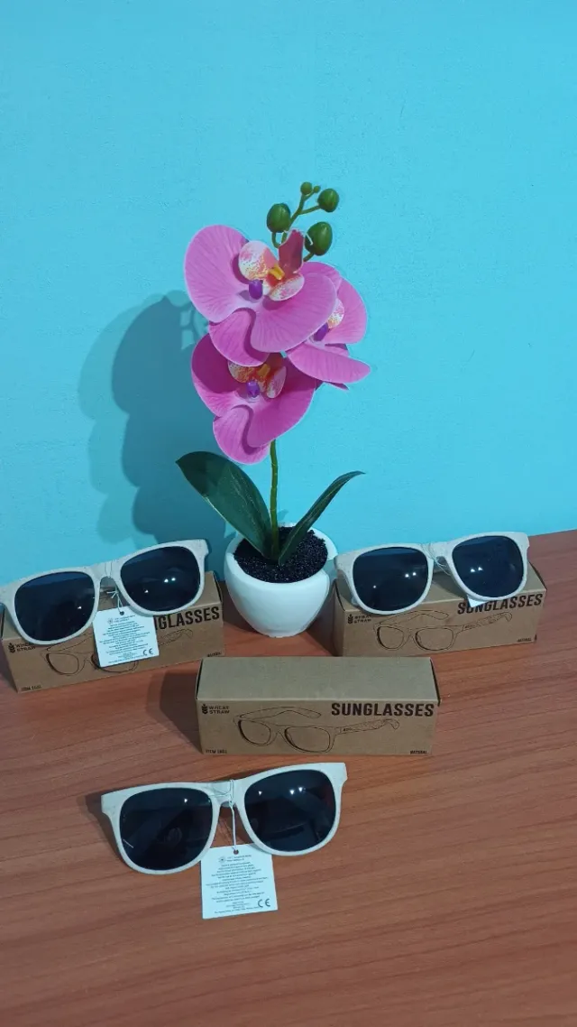 Lote 3 Gafas de Sol color natural