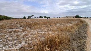 Terreno parcela recreo junto a via verde Albacete