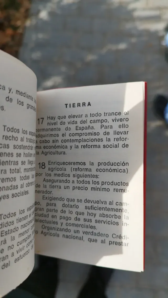 Puntos Programáticos Falange Española JONS