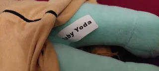 Peluche Yoda e Panda