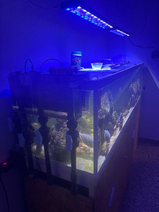Acuario Marino Completo