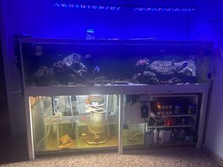 Acuario Marino Completo