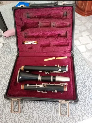 Clarinete con accesorios