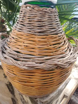 Contenitore in vimini e canne per olio o vino ...