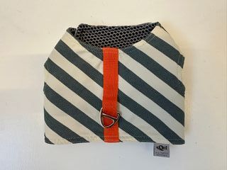 Arnés tQel Talla S Teckel Verde/Beige