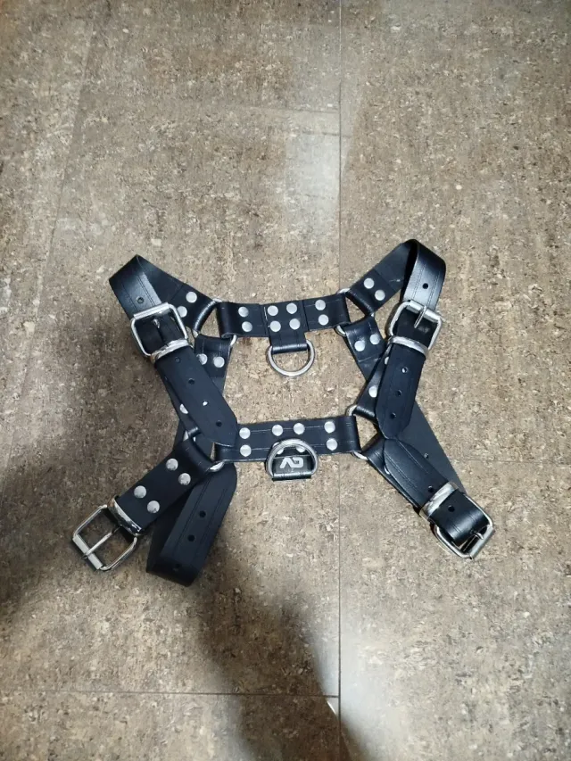 Arnés de cuero negro con remaches