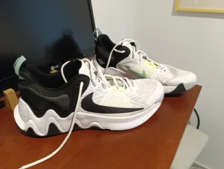 Zapatillas Nike Giannis Antetokounmpo