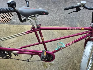 Bicicletta Tandem Atala