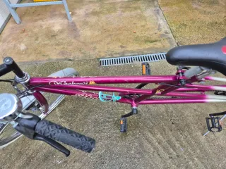 Bicicletta Tandem Atala