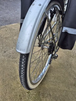 Bicicletta Tandem Atala