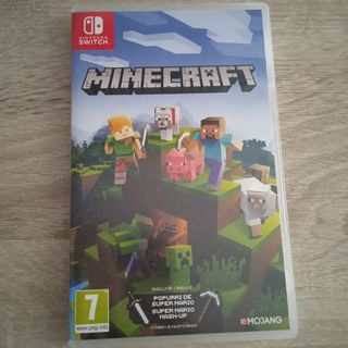 Minecraft Nintendo Switch
