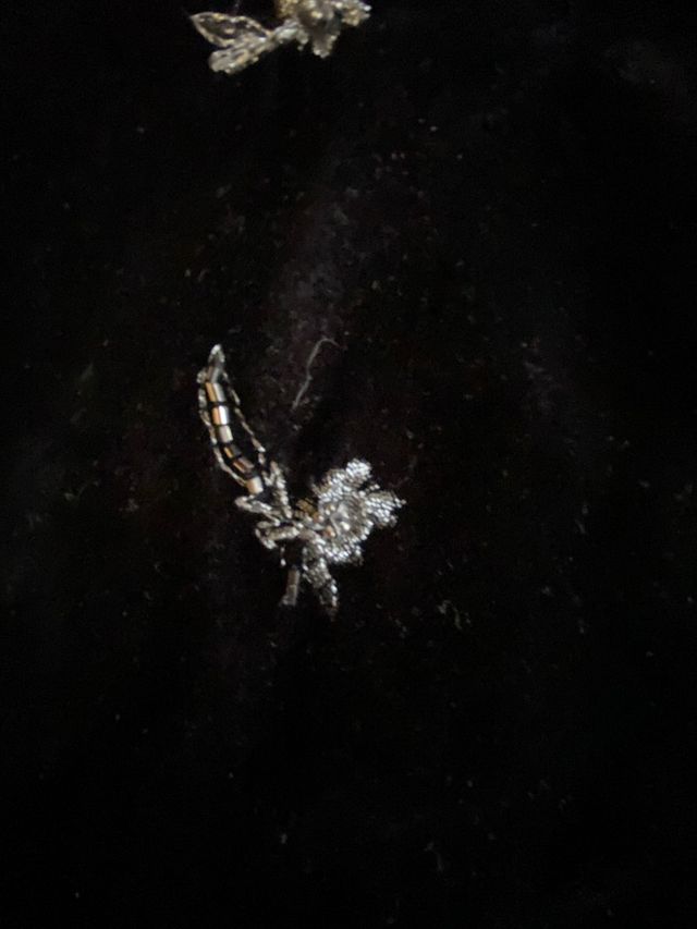 Conjunto Ropa Mujer Talla 46-48