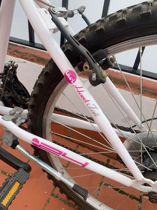 Bicicleta 24 pulgadas