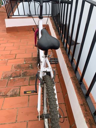 Bicicleta 24 pulgadas