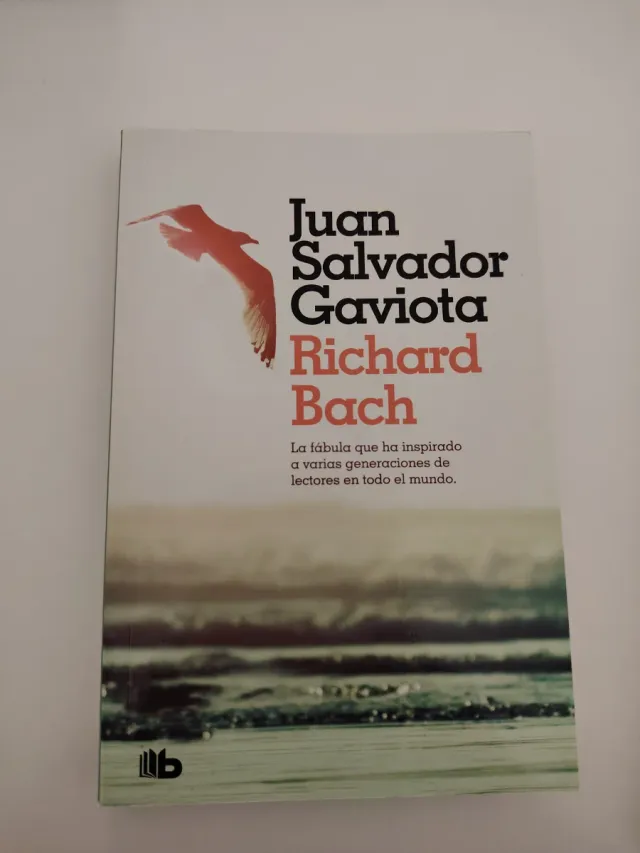 Juan Salvador Gaviota: La fábula más inspirada ...