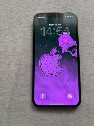 iPhone 13 Pro Multicolor/Viola