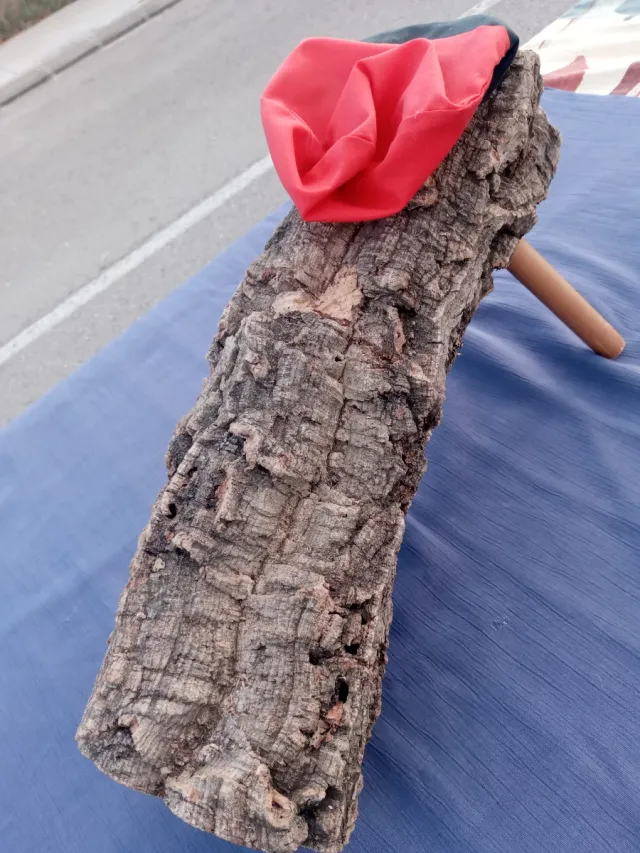 Tradizionale Tió de Nadal