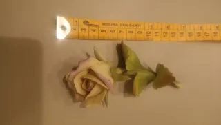 Rosa in ceramica di Capodimonte