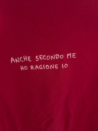 Maglietta Subdued Anche secondo me ho ragione io