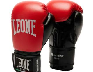 Guantes de Boxeo Leone Originales