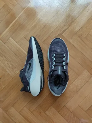 Nike Pegasus 41 Talla 40